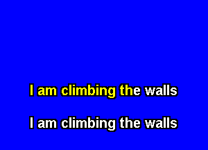 I am climbing the walls

I am climbing the walls