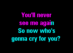 You'll never
see me again

So now who's
gonna cry for you?