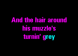 And the hair around

his muzzle's
turnin' grey