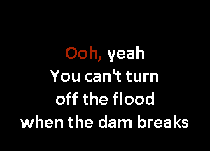 Ooh, yeah

You can't turn
off the flood
when the dam breaks