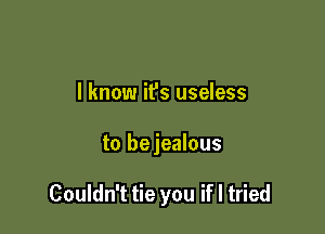I know it's useless

to bejealous

Couldn't tie you ifl tried