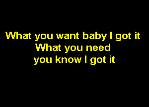 What you want baby I got it
What you need

you know I got it