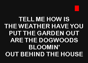 TELL ME HOW IS
THEWEATHER HAVE YOU
PUT THEGARDEN OUT
ARETHE DOGWOODS
BLOOMIN'

OUT BEHIND THE HOUSE