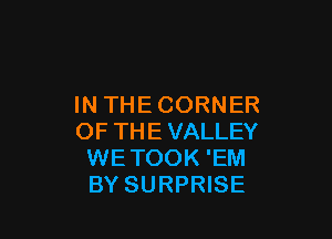 INTHECORNER

OF THE VALLEY
WETOOK 'EM
BY SURPRISE