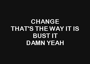 CHANGE
THAT'S THE WAY IT IS

BUST IT
DAMN YEAH