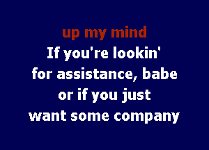 If you're lookin'
for assistance, babe

or if you just
want some company