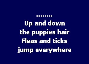 Up and down

the puppies hair
Fleas and ticks
jump everywhere