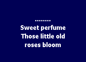 Sweet perfume

Those little old
roses bloom