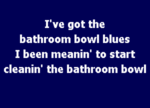 I've got the
bathroom bowl blues
I been meanin' to start
cleanin' the bathroom bowl