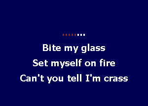 Bite my glass
Set myself on fire

Can't you tell I'm crass