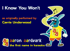 I Know You Won't

Carrie Underwood

g the first name in karaoke