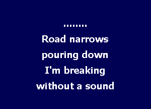 Road narrows
pouring down

I'm breaking

without a sound