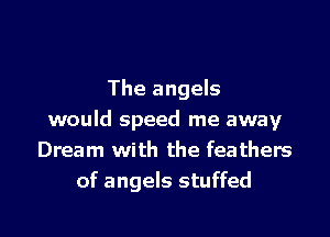 The angels

would speed me away
Dream with the feathers
of angels stuffed
