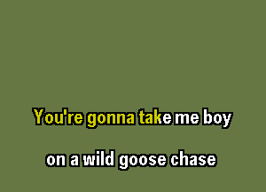You're gonna take me boy

on a wild goose chase