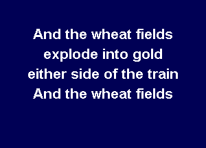 And the wheat fields
explode into gold

either side of the train
And the wheat fields