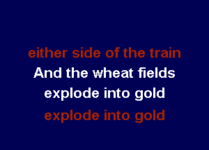 And the wheat fields

explode into gold
