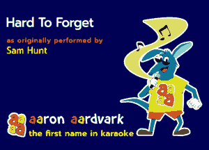 Hard To Forget

Sam Hunt

g the first name in karaoke