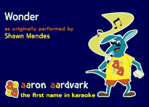 Wonder

Shawn Mendes

g the first name in karaoke