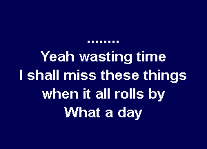 Yeah wasting time

I shall miss these things
when it all rolls by
What a day