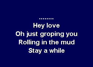 Oh just groping you
Rolling in the mud
Stay a while