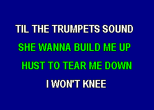 TIL THE TRUMPETS SOUND
SHE WANNA BUILD ME UP
HUST T0 TEAR ME DOWN

I WON'T KNEE
