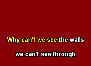 Why can't we see the walls

we can't see through