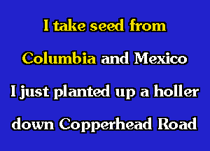 I take seed from
Columbia and Mexico
I just planted up a holler

down Copperhead Road
