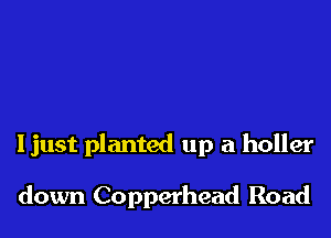 Ijust planted up a holler

down Copperhead Road