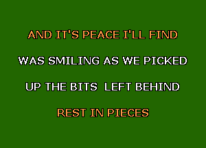 AND IT'S PEACE I'LL FIND

WAS SMILING AS WE PICKED

UP THE BITS LEFT BEHIND

REST IN PIECES