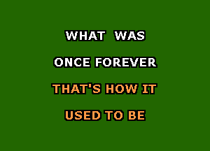 WHAT WAS

ONCE FOREVER

THAT'S HOW IT

USED TO BE