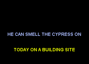 HE CAN SMELL THE CYPRESS ON

TODAY ON A BUILDING SITE