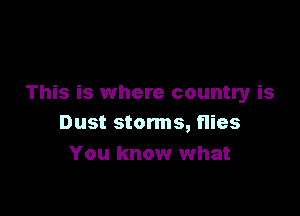 This is where country is

Dust storms, flies
You know what