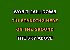 WON'T FALL DOWN

I'M STANDING HERE

ON THE GROUND

THE SKY ABOVE