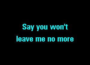 Say you won't

leave me no more
