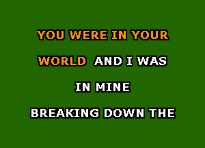 YOU WERE IN YOUR
WORLD AND I WAS

IN MINE

BREAKING DOWN THE