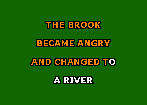 THE BROOK

BECAME ANGRY

AND CHANGED TO

A RIVER