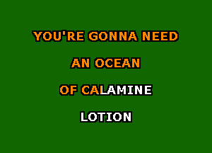 YOU'RE GONNA NEED

AN OCEAN
0F CALAMINE

LOTION