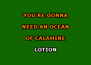 YOU'RE GONNA

NEED AN OCEAN
0F CALAMINE

LOTION