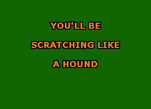 YOU'LL BE

SCRATCHING LIKE

A HOUND
