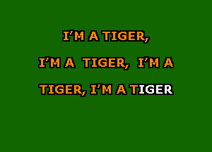 I'M A TIGER,

I'M A TIGER, I'M A

TIGER, I'M A TIGER