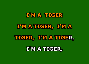 I'M A TIGER
I'M A TIGER, I'M A

TIGER, I'M A TIGER,

I'M A TIGER,