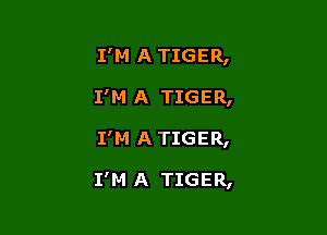 I'M A TIGER,
I'M A TIGER,

I'M ATIGER,

I'M A TIGER,