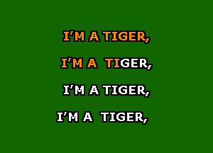 I'M A TIGER,
I'M A TIGER,

I'M ATIGER,

I'M A TIGER,