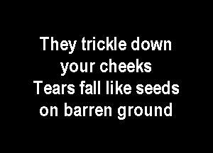 They trickle down
your cheeks

Tears fall like seeds
on barren ground