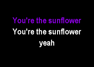 You're the sunflower
You're the sunflower

yeah