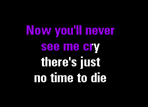 Now you'll never
see me cry

there's just
no time to die