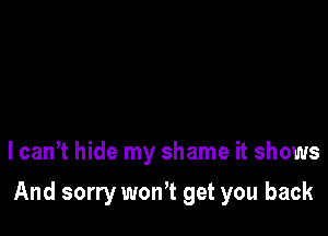 lcanT hide my shame it shows

And sorry wonT get you back