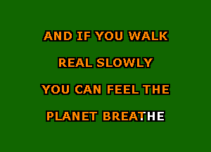 AND IF YOU WALK

REAL SLOWLY

YOU CAN FEEL THE

PLANET BREATHE