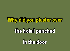 Why did you plaster over

the hole I punched

in the door
