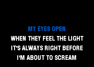 MY EYES OPEN
WHEN THEY FEEL THE LIGHT
IT'S ALWAYS RIGHT BEFORE
I'M ABOUT T0 SCREAM